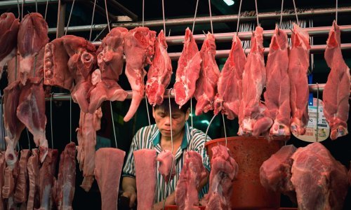 Istraživači popisali područja na kojima bi se mogla pojaviti sljedeća pandemija. Doznajte odakle prijeti najveća opasnost