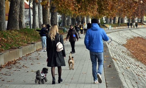 WHO: Odrasli i djeca se trebaju više kretati kako bi ostali fit tijekom pandemije