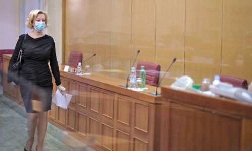 Zakon o elektroničkim medijima dobio 'zeleno svjetlo'; Raspudić o spornom članku: Ima tendenciju hipernormiranja