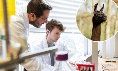 Lovci na 'spike' proteine, krotitelji ljaminih nanotijela i tvorci antitijela na koronavirus dobitnici ovogodišnje Golden Goose nagrade