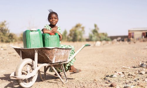 [FOTO] Sve zbog globalnog zagrijavanja: Vrućina kosi starije, sve je više oštećenja pluća, nedostaje hrane, a virusi skaču sa životinja na ljude