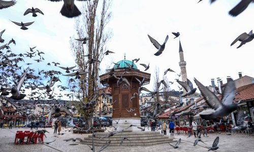 U BiH 1200 novozaraženih i 55 umrlih od Covida-19