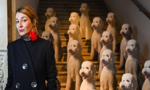 Paulina Jazvić u MUO predstavila instalaciju 'Top dog/Underdog'