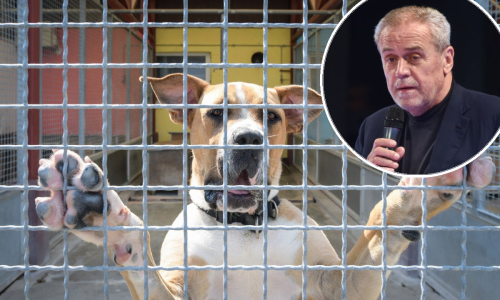 [FOTO] Što se događa u Dumovcu? Stižu optužbe za zlostavljanje koje demantira ravnatelj ZOO-a; oglasio se i Bandić: 'Osobno ću ispitati slučaj'