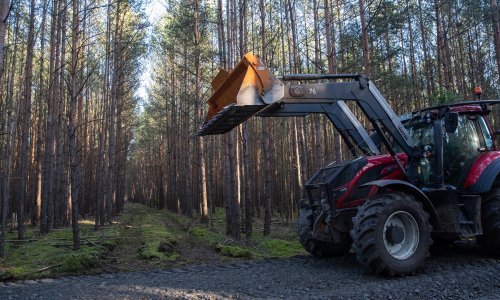 Novi problemi za Teslu; uspavane zmije zaustavljaju krčenje šuma na mjestu buduće tvornice pokraj Berlina