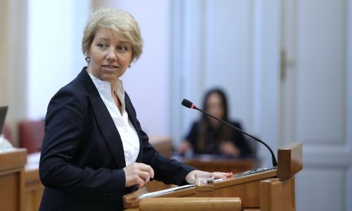 Metelko-Zgombić: Osigurati cjepivo protiv covida-10 za sve građane EU-a