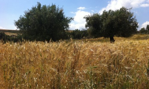 Jedinstvene su u svijetu, a kod nas su otkrivene sasvim slučajno: Još uvijek su bez imena