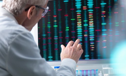 DNK analiza potvrdila da su pronađena tijela četiri od 19 nestalih Hrvata iz Bugojna