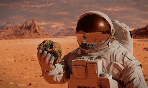 Dan za mozganje: Pronašli smo zanimljive zadatke, znate li ih riješiti?