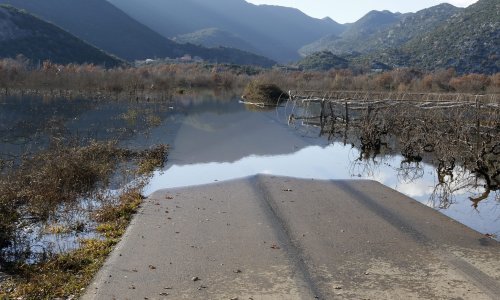 U poplavama kod Vrgorca potopljeno 90.000 sadnica jagoda