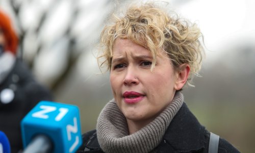 Nova ljevica: Što prije donijeti Nacionalnu strategiju zaštite mentalnog zdravlja