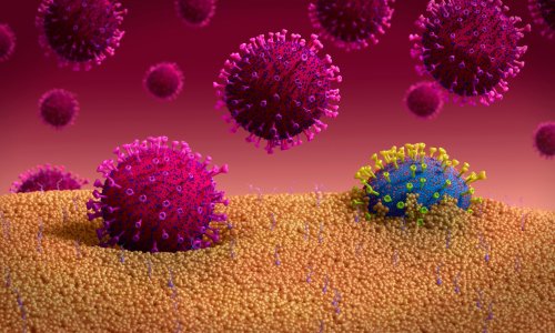 Die Welt: Novi soj koronavirusa u Njemačkoj je od studenog