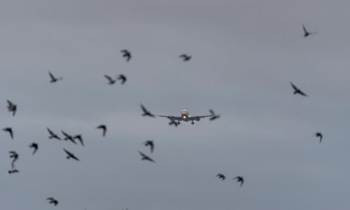 Veliki poremećaji u zračnom prijevozu u Europi zbog novog soja korone: Sve više zemalja prekida ili ograničava prometne veze s Britanijom