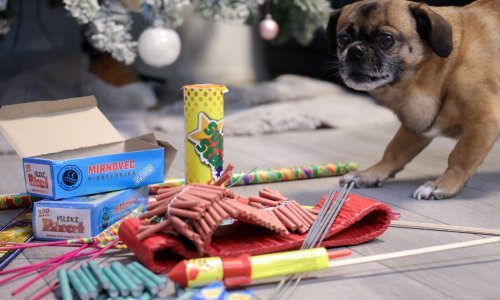 Slovenski aktivisti traže potpunu i trajnu zabranu pirotehnike