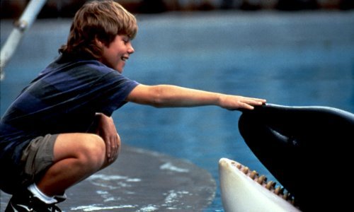 Prošlo je 28 godina: Najbolji prijatelj bio mu je kit ubojica, a evo kako danas izgleda glumac koji je oslobodio Willyja