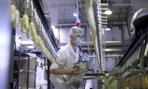 Ledo sve bliže prodaji: Fortenova nastavlja ekskluzivne razgovore s angloameričkim divom smrznute hrane, kojemu nedostaje samo jedna stvar u kojoj je hrvatska kompanija posebno jaka