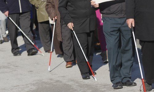 Apel za pomoć slijepim osobama Udruge slijepih Sisačko-moslavačke županije