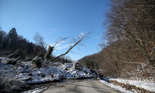 [FOTO/VIDEO] Aktiviralo se klizište u Zagorju: Zemljana lavina čupala drveće i u potpunosti blokirala državnu cestu