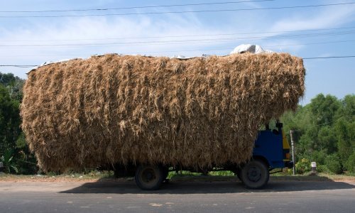 [FOTO] Kao u crtiću: Pogledajte kako to izgleda kad prenatrpate vozilo