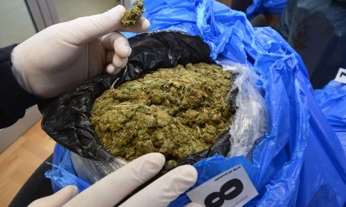 Policija kod dilera u Zagrebu našla arsenal oružja i 7,5 kg trave