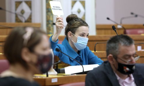 Selak Raspudić: Zakon o obnovi je protuustavan