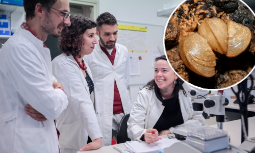 Hrvatski školjkaši iz milijun eura vrijednog znanstvenog projekta u igri za titulu mekušca godine: 'Preživjeli su u tami pet milijuna godina čuvajući svoje mlade'