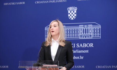 Ahmetović: Plenković bi trebao tražiti Tušekovu ostavku