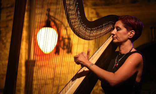 Naša poznata harfistica Doris Karamatić godinu je počela zanimljivim glazbenim projektom