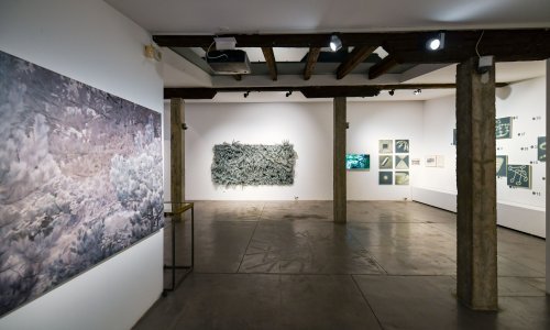 'Umjetnički život biljaka': Kako domaći suvremeni autori u svome radu koriste biljni svijet