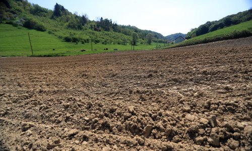 Za poljoprivredne potpore trebat će dokazati proizvodnju