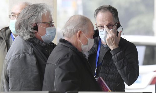 Prvi rezultati velike međunarodne istrage o podrijetlu korone: Virus nije izašao iz laboratorija. Čini se da su za sve krivi šišmiši, možda i mačke