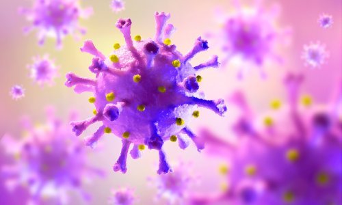 Riječki znanstvenici u potrazi za lijekom protiv koronavirusa