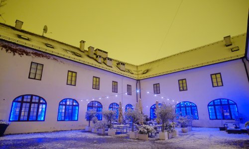 'Žive slike' Muzeja grada Zagreba u online izdanju