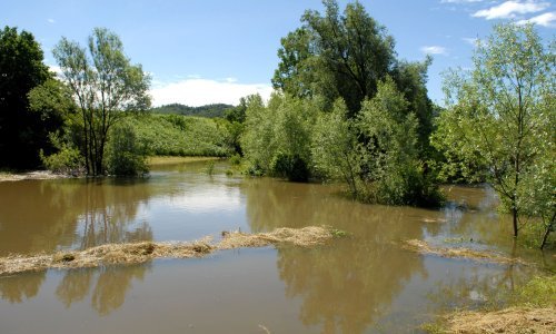 HGSS-ovci nedaleko Topuskog, iz rijeke Gline izvukli beživotno muško tijelo