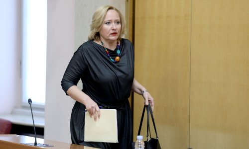 Pučka pravobraniteljica Saboru predala izvješće o pravu na zdrav život