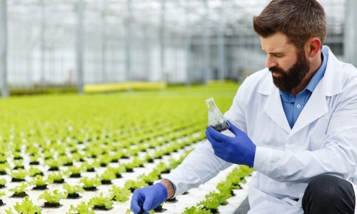 Tržište rada se ubrzano mijenja. Evo liste poslova koji će se u budućnosti masovno tražiti (i dobro plaćati)!