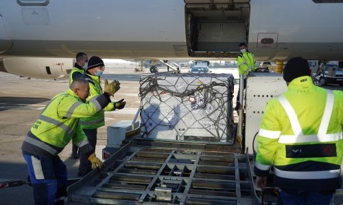 Irski izvoz lijekova i medicinskih proizvoda poskočio u 2020.