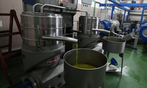 Lažna etiketa otkrivena na 50 posto ekstradjevičanskih maslinovih ulja