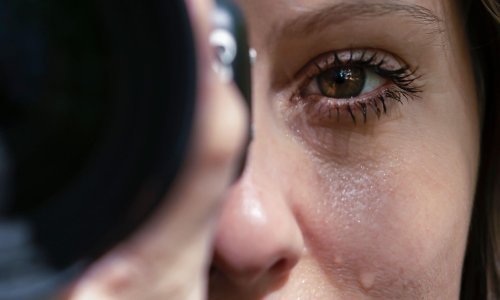 Znak s najvećom empatijom: Osjetljive na tuđu nevolju, Ribe žive da bi pomagale