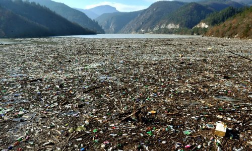 [VIDEO] Mitska Drina zatrpana gomilama smeća: Ne mogu očistiti koliko mogu zagaditi