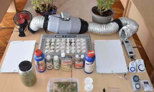 Kod Varaždina policija otkrila kućni 'laboratorij' za uzgoj marihuane