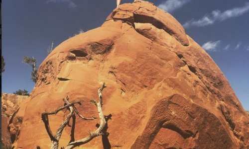 Poznati glumac gol podržao prosvjed indijanskog plemena