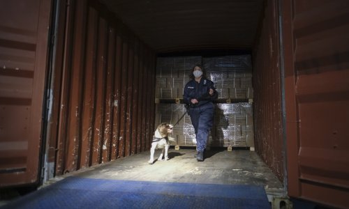 Diler 600 kg kokaina nagodio se s USKOK-om