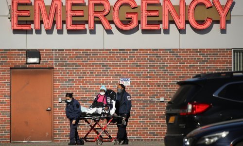 Njujorški soj krenuo je sa sjevera Manhattana još u studenome i stigao u Hrvatsku. Evo što osobito brine stručnjake