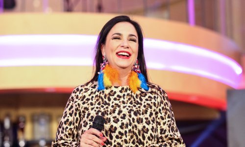 Alka Vuica o cijepljenju protiv Covida-19: 'Danas bi nam puno bitnije bilo imati funkcionalan Imunološki zavod, nego 4 MiG-a... jer nitko neće napasti iz zraka'