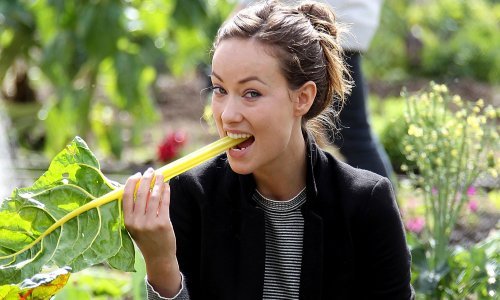 Slavni vegani: Zvijezde koje su iz svoje prehrane izbacile meso i namirnice životinjskog porijekla