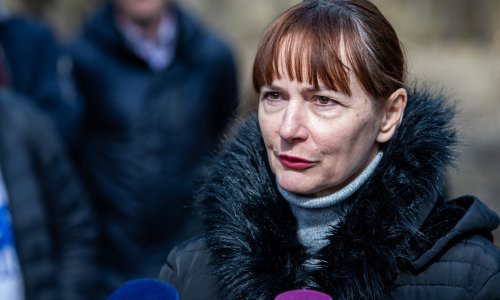 Vučemilović: Ne čini se dovoljno na suzbijanju najezde komaraca u Osijeku