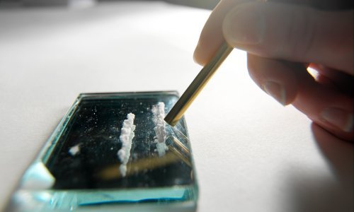 Petković: Svaki deseti Hrvat probao je kokain