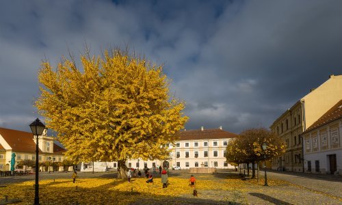Večeras jače naoblačenje, a DHMZ otkriva gdje će biti i kiše