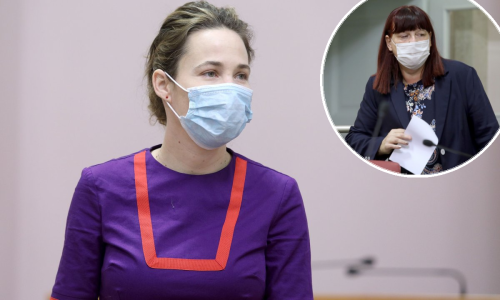 Selak Raspudić: Hrvati su najveći majmuni i luzeri u EU; Grba Bujević: Uvrijedili ste zastupnike, svi smo ovdje Hrvati